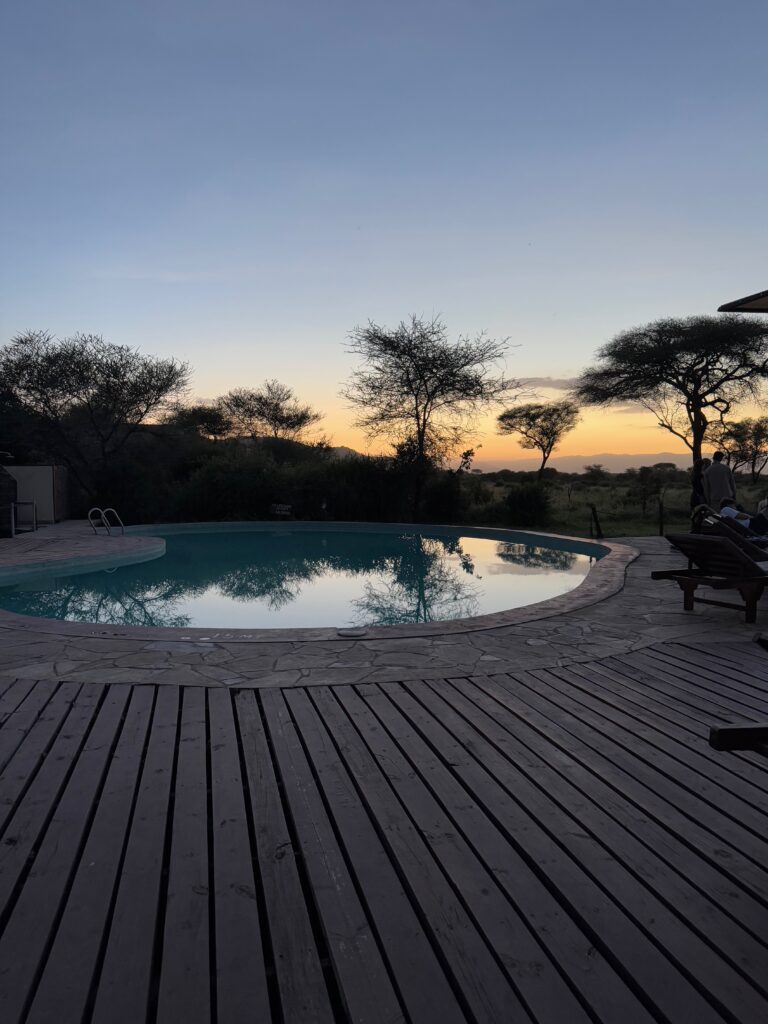 Sunset - Safari Camp