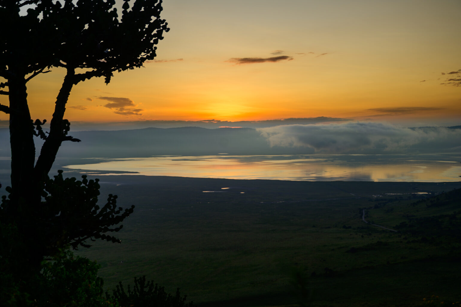 Ngorongoro Crater